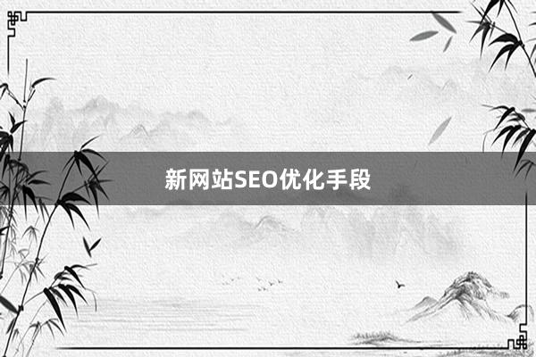 新网站SEO优化手段