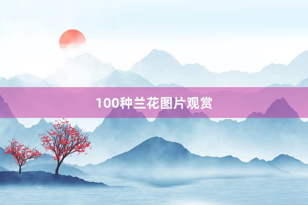 100种兰花图片观赏